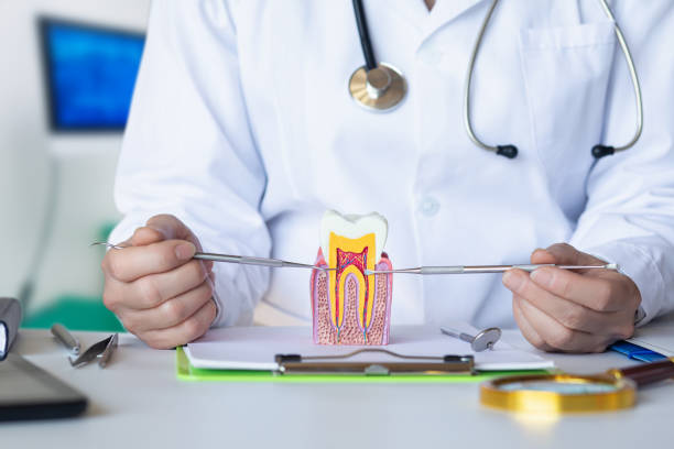 Best Emergency Dentist for Knocked-Out Tooth in Broomall, PA